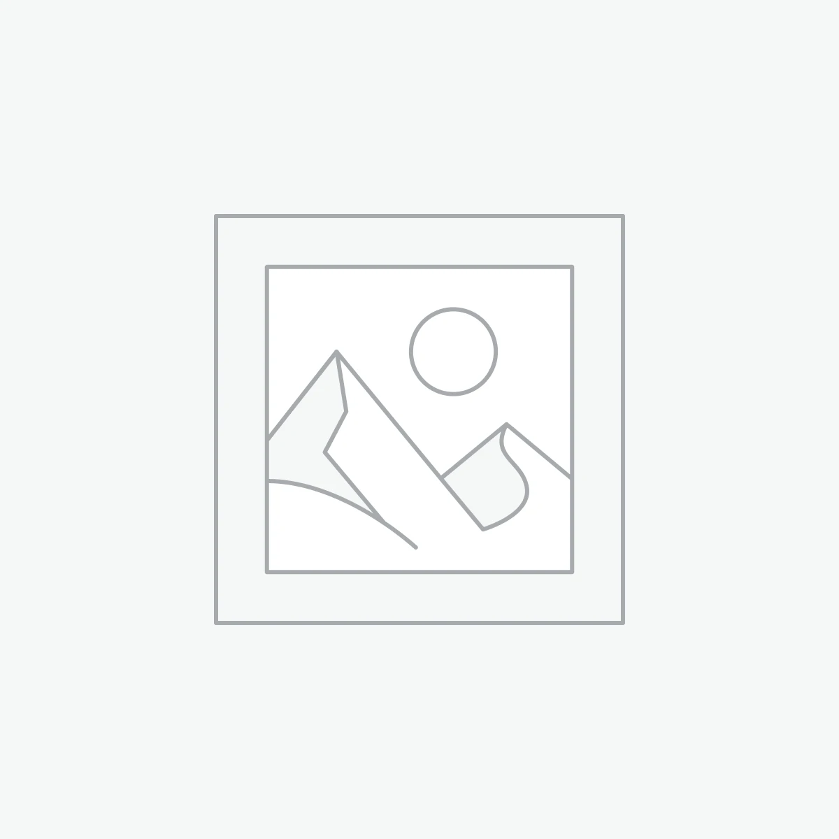 VISION® – 147 DAYTONA Hyper Silver